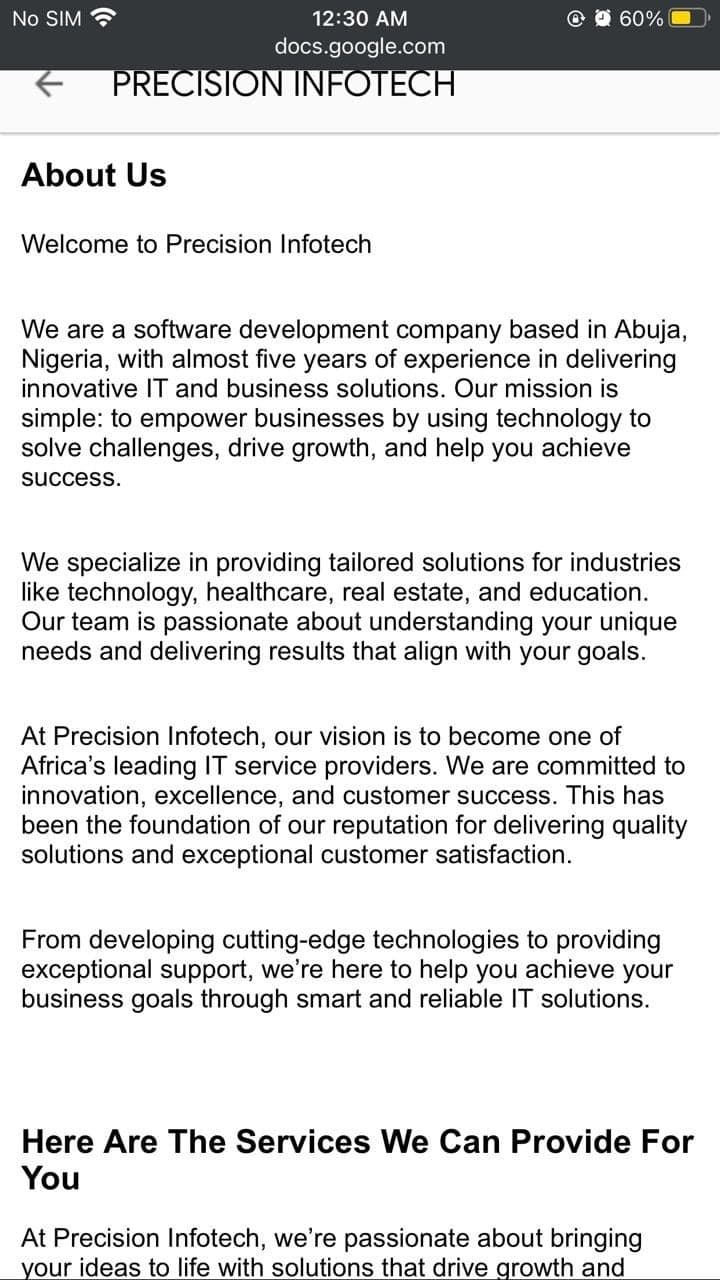 Preview of Precision Infotech Website Content